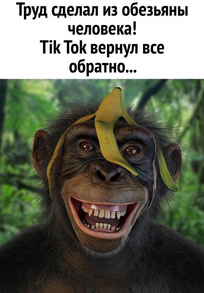 ТРУд Сделал из обезьяны человека Ті То вернул все обратно