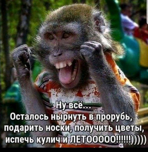 Осталось нырнут Ёёорйбъь подарИть носки попу ь цвеёды испечьЁшличіи ЛВТОФООО1