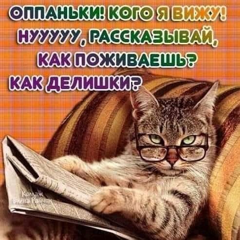 ОППАНЬКИ