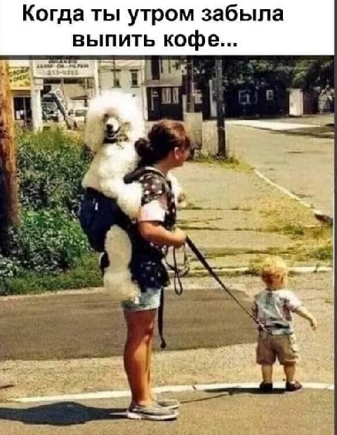 Когда ты утром забыла