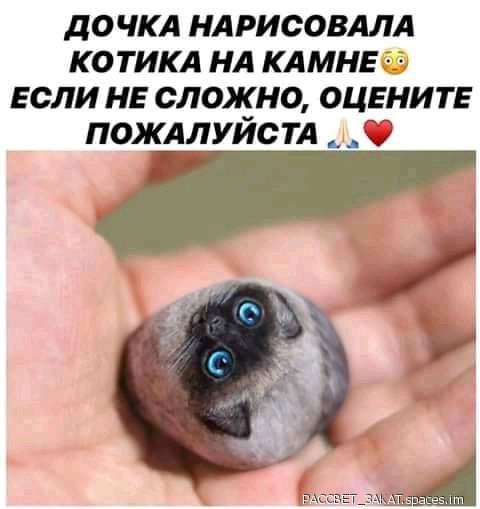 дочкл нлрисовллл ко тикл нл клмнь если не сложно ОЦЕНИТЕ пожллуйс ТА _ С