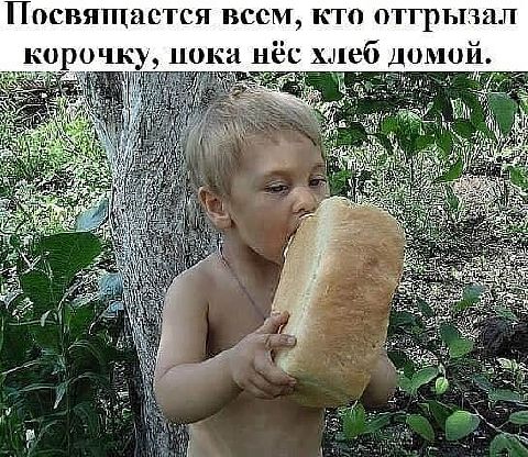 Посвящается всем кто птгрычал аро псу пока и неб мой и чьи 4