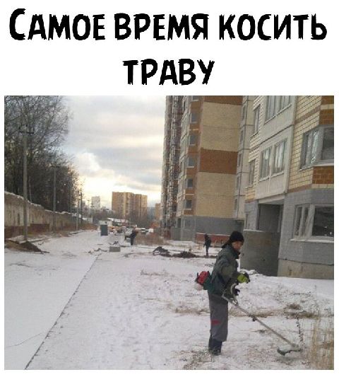 Самое время косить