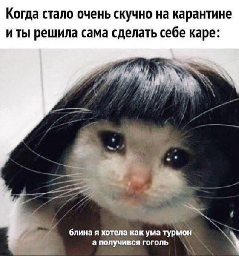 Когда стало очень СКУЧНО на карантине И ТЫ решила сама сделать себе каре бита я типа как ума гурман щтгщ