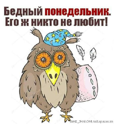 Бедный понедельник. Нож иш'м'ю любит! То аке