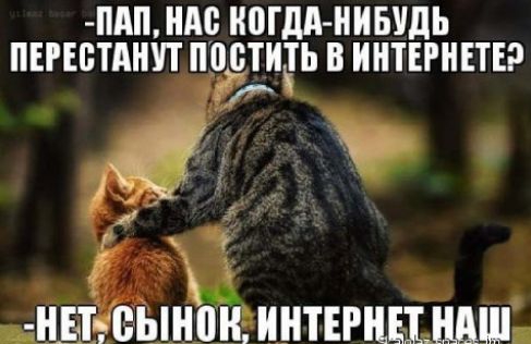 Пап, нас когданибудь перестанут постить в интернетер па ' й нетесыновинтернет наш