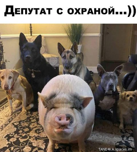 иным эрасеэ