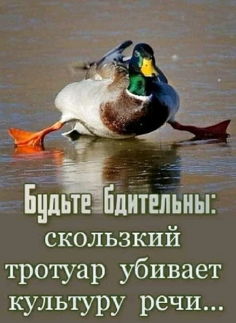 Будьтеёіідитвльны скользкий тротуар убивает культуру речи
