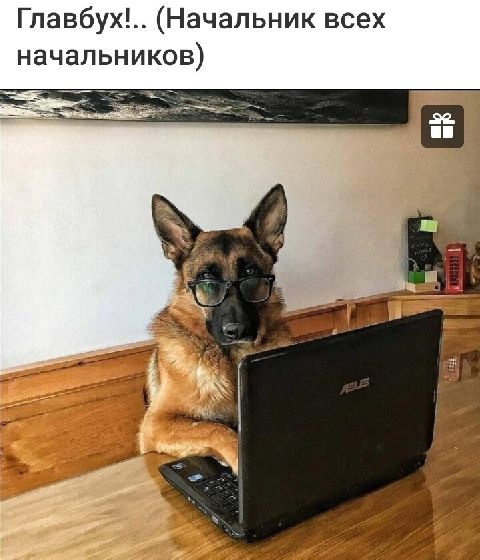 Гпавбух Начальник всех начальников