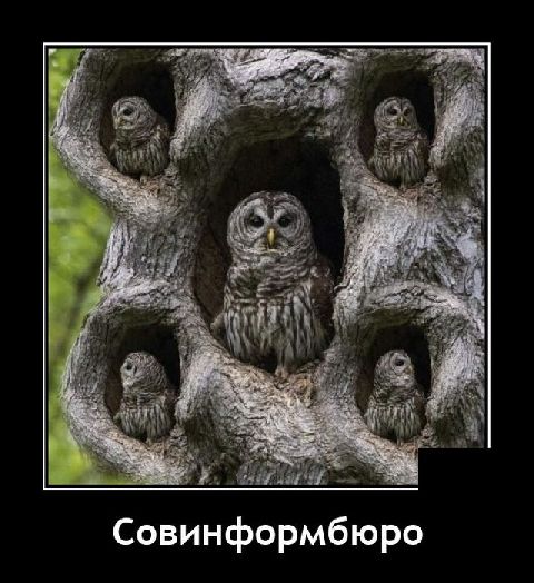 Совинформбюро