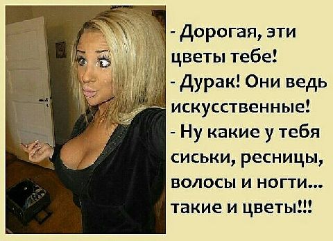 Дорогая эти цветы тебе Дурак Они ведь искусственные Ну какие у тебя сиськи ресницы волосы и ногти такие и цветы