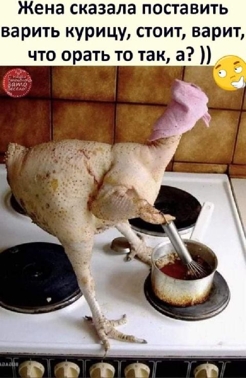 Жена сказала поставить варить курицу стоит варит что орать то так а