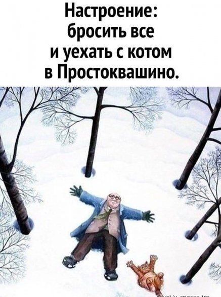 Настроение бросить все и уехать с котом в Простоквашино