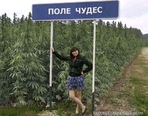ПОЛЕ ЧУдЕС ч