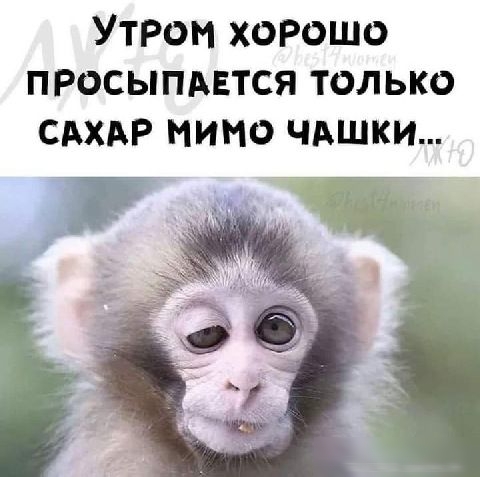 УТРО ХОРОШО ПРОСЫПАЕТСЯ ТОЛЬКО САХАР ИНО ЧАШКИ