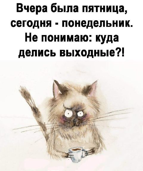 Вчера была пятница сегодня понедельник Не понимаю куда делись выходные