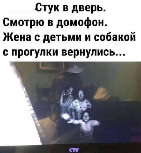 Стук дверь Смотрю в домофон Жена с детьми и собакой с прогулки вернулись