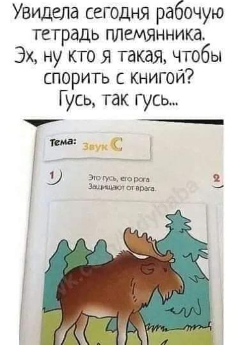 Увидела сегодня рабочую тетрадь племянника Эх ну кто я такая чтобы спорить с книгой Г усь так гусь _1 Эш гус на ро от враги О