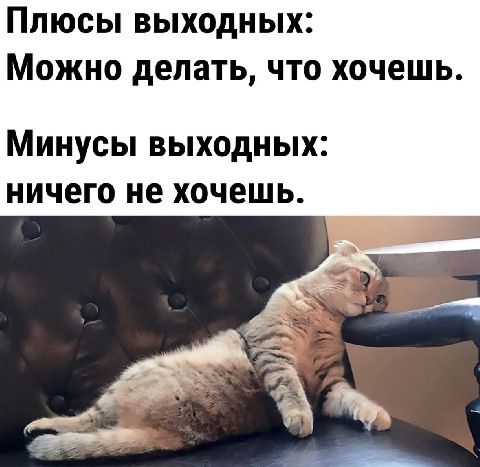 Плюсы выходных: можно делать, что хочешь. Минуоы выходных: ничего не хочешь.