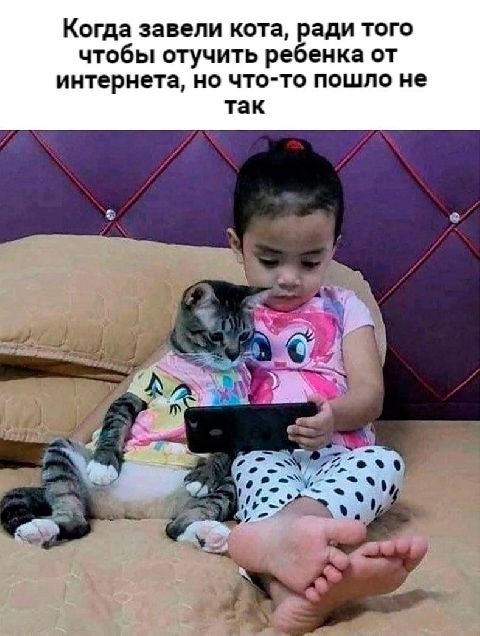 Когда завели кота, ради того чтобы отучить ребенка от интернета, но чтото пошло не так