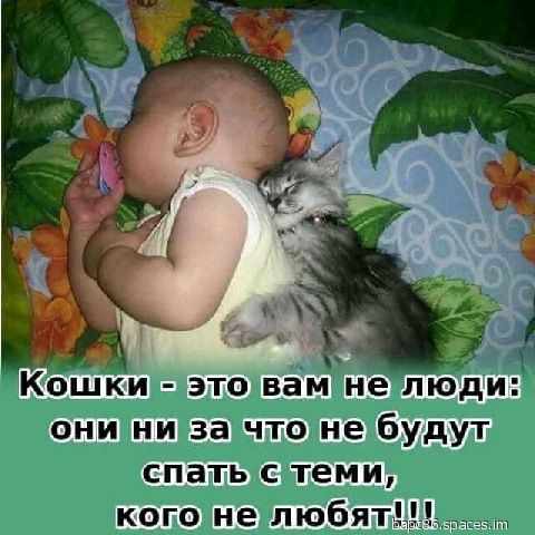 Зрасевлть