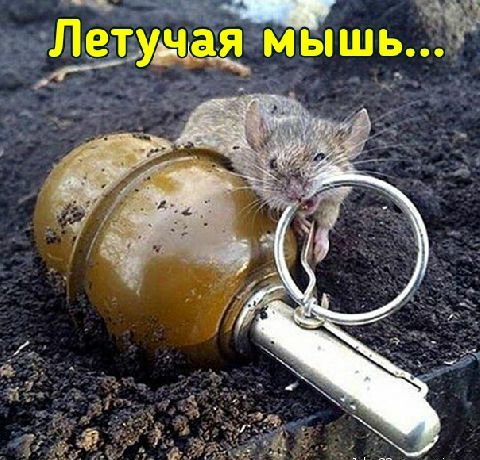 ч» дет,удад 'д'ышё.'..ё