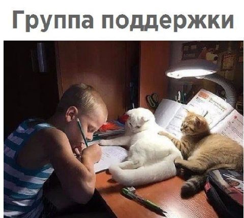 Группа поддержки