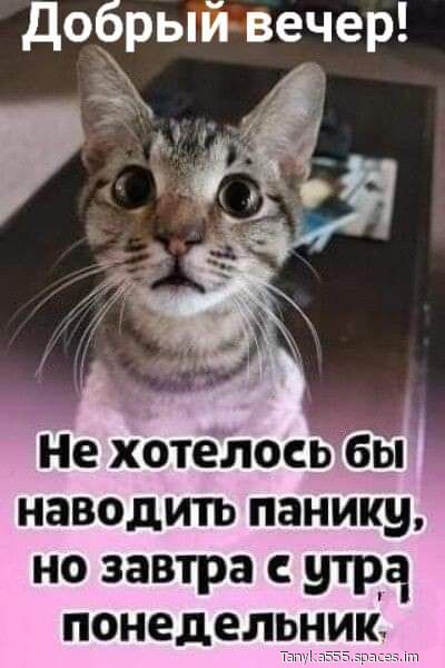добрый вечер не хотелосьбы но завтра С НТРЧ понедеЛЭНИКд_