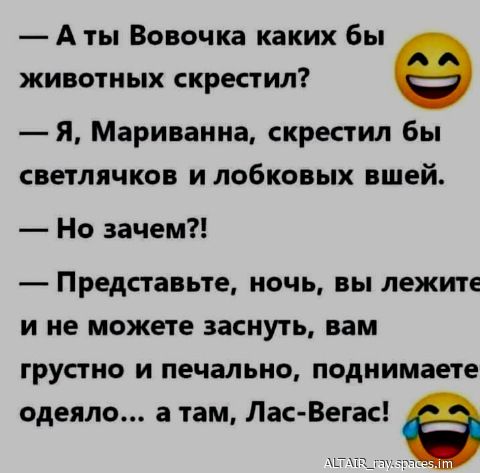 А ты Вовочка каких бы животных скрестил Я Мариванна скрестил бы светлячков и лобковых вшей Но зачем Представьте НОЧЬ ВЫ лежите И не можете ЗЗСНУЬ вам грустно И печально поднимаете одеяло а там Лас Вегас а