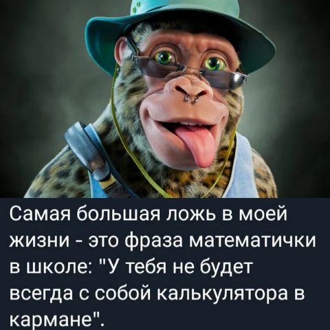Самая большая ложь в моей жизни это фраза математички в школе У тебя не будет всегда с собой калькулятора в кармане