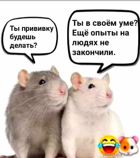 Ты прививку будешь делать Ты в своём уме Ещё опыты на людях не закончили