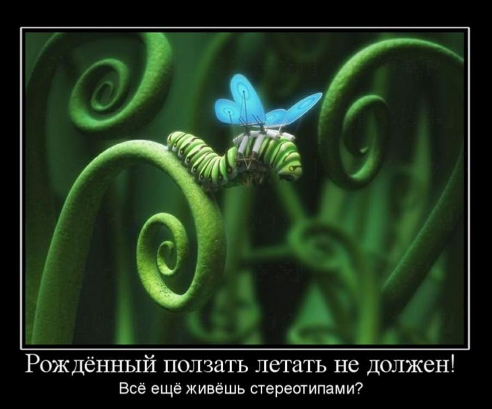 Рождённый ПОЛЗдТЬ летать не ДОЛЖЗН Всё ещё живёшь стереотипами