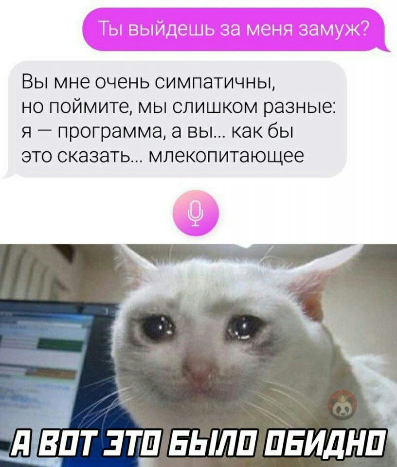 Вы мне очень симпатичны но поймите мы слишком разные я программа а вы как бы это сказать млекопитающее _впт эти ЕЫЛП пвиднп