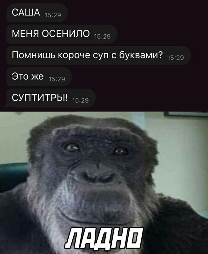 САША 15 меня освнило Помнишь короче суп с буквами 29 Это же 9 суптитрьп