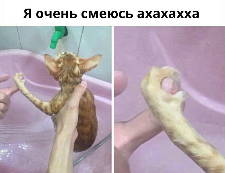 я ОЧЕНЬ смеюсь ахахахха