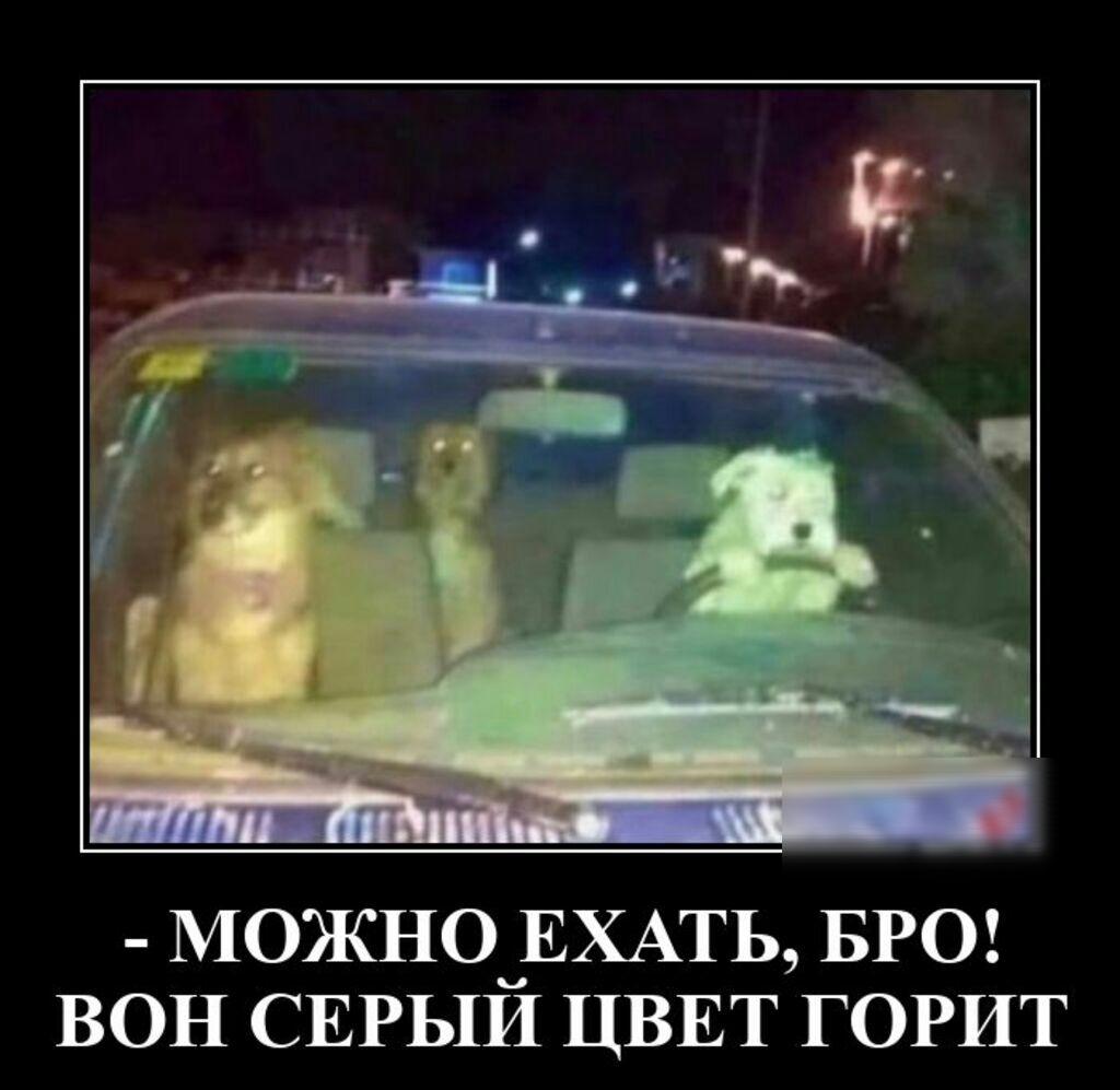 МОЖНО_ЕХАТЬ БРО ВОН СЕРЬ1И ЦВЕТ ГОРИТ