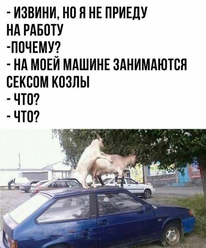 извини но я не принцу нд РАБПТУ почнму_ ни мони МАШИНЕ зднимдютсн сЕкспм козлы что что