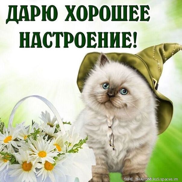 ддрю хорошее ндстровнив _ _ З