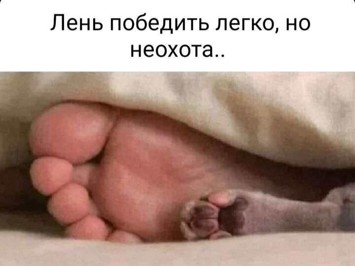 Лень победить легко, но неохота..