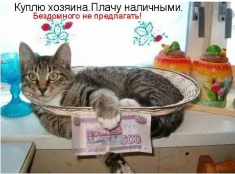 Куплю хозяина Плачу наличными Бе емкого не предлагагь