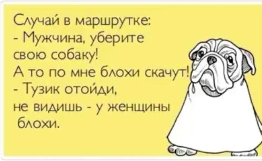 САучай в маршрутке Мужчина уберите свою собаку А то по мне бАОХИ скачут Тузик отойди не видишь у женщины бАОХИ