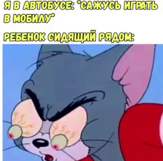53 АВТОБУОЕ САЖУЬ