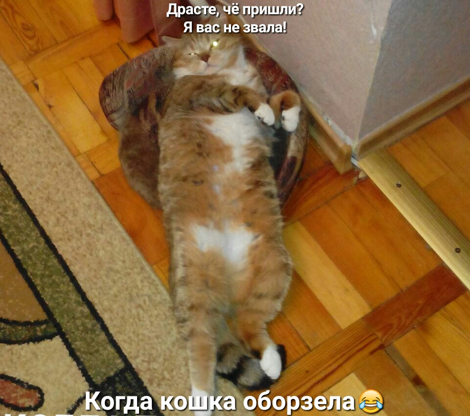 дра ев ш ЯваЁ іеи __ дЭц дм