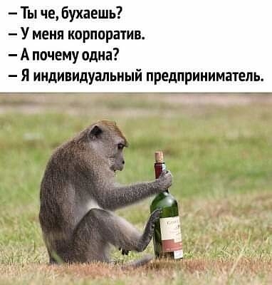 Ты че бухаешь У меня корпоратив А почему одна Я индивидуальный предприниматель