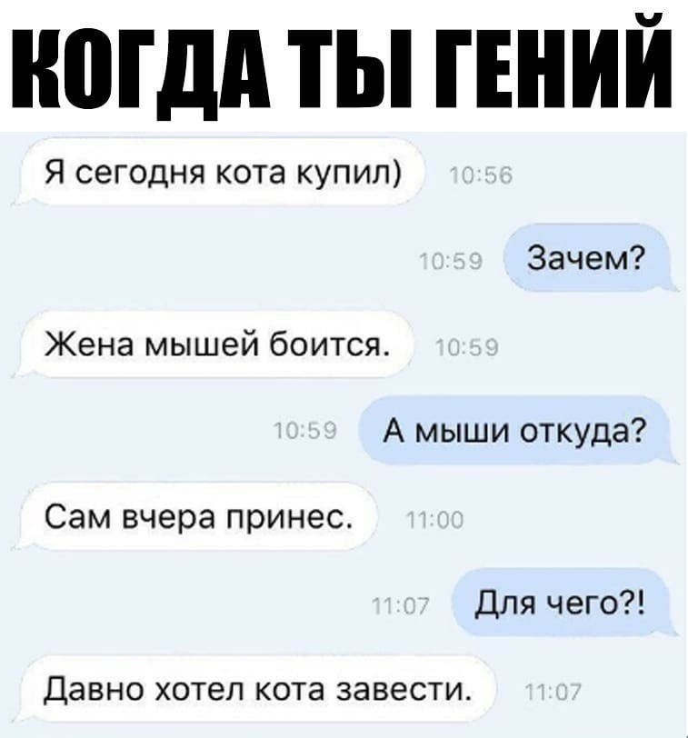 ногдп ТЫ ГЕНИЙ Я сегодня кота купил Зачем Жена мышей боится А мыши откуда Сам вчера принес Для чего ДЭВНО хотел КОТЗ ЗЗВЭСТИ