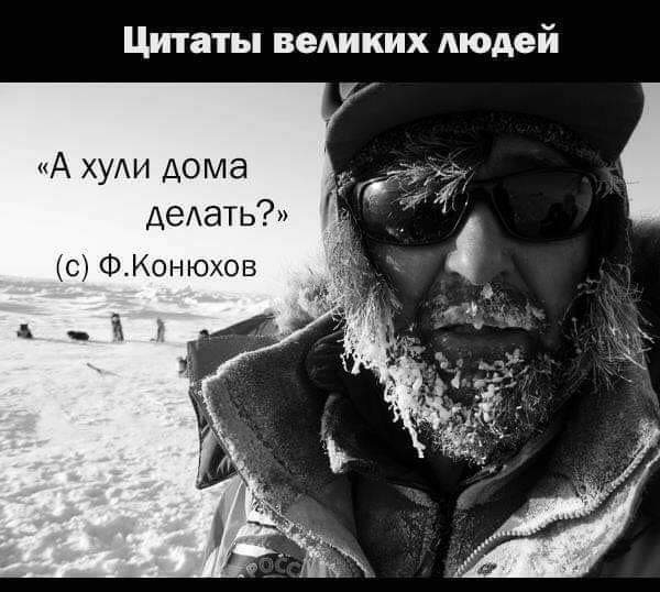Цитаты веАиких людей А ХУАИ дома дедать с ФКонюхов