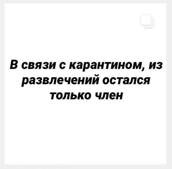 В связи с карантином из развлечений остался только член