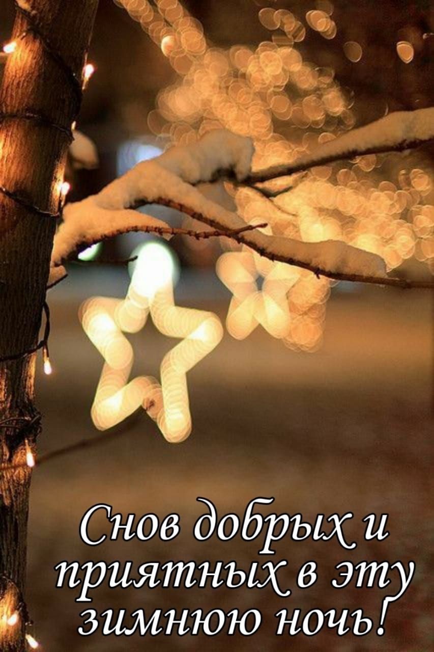 Снов добрыхи приятныхв эт зимнюю ночь