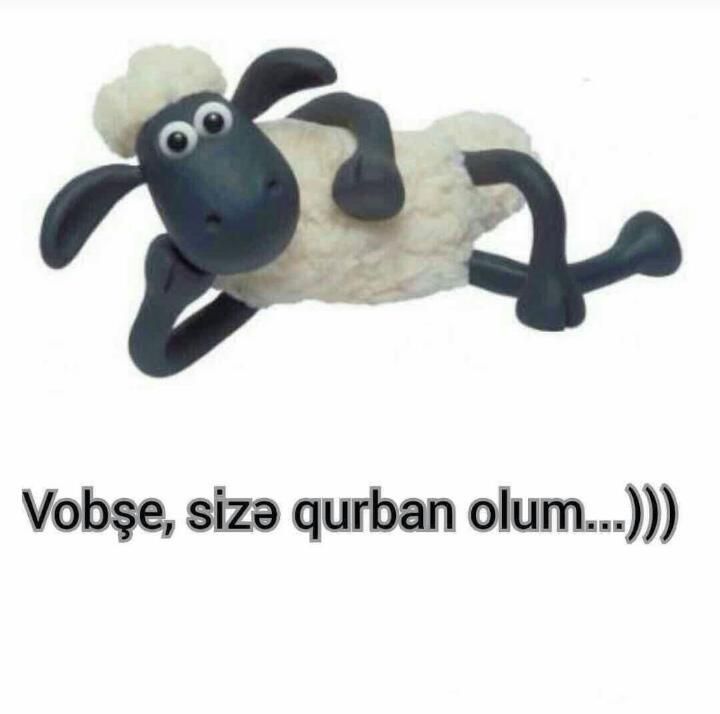 Чаще впо чшЬап оцт