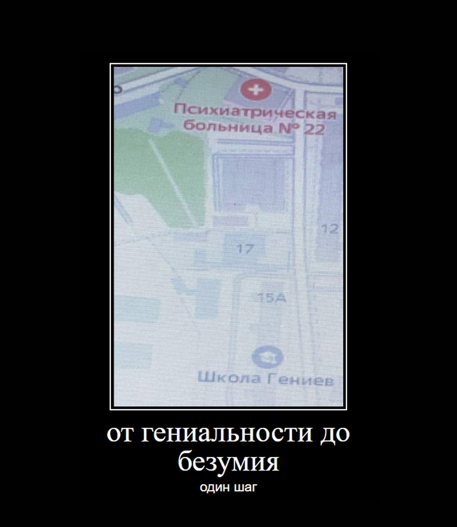 от гениальности до безумия ОДИН ШЭГ